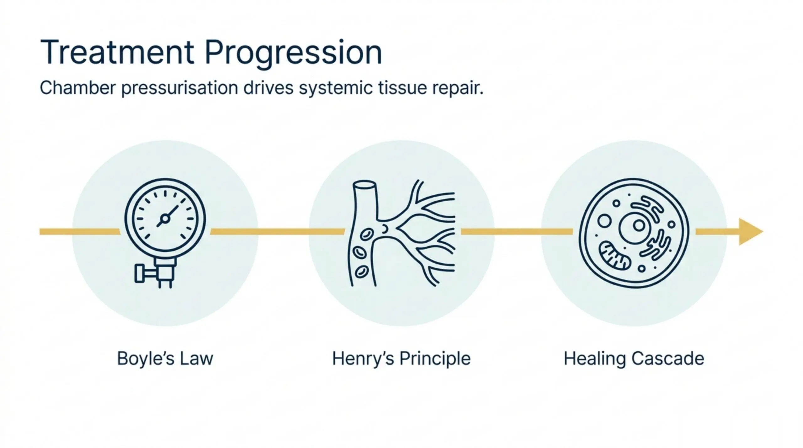 How HBOT works: chamber pressurisation (Boyle's Law) drives oxygen into plasma (Henry's Principle), triggering a tissue-healing cascade.