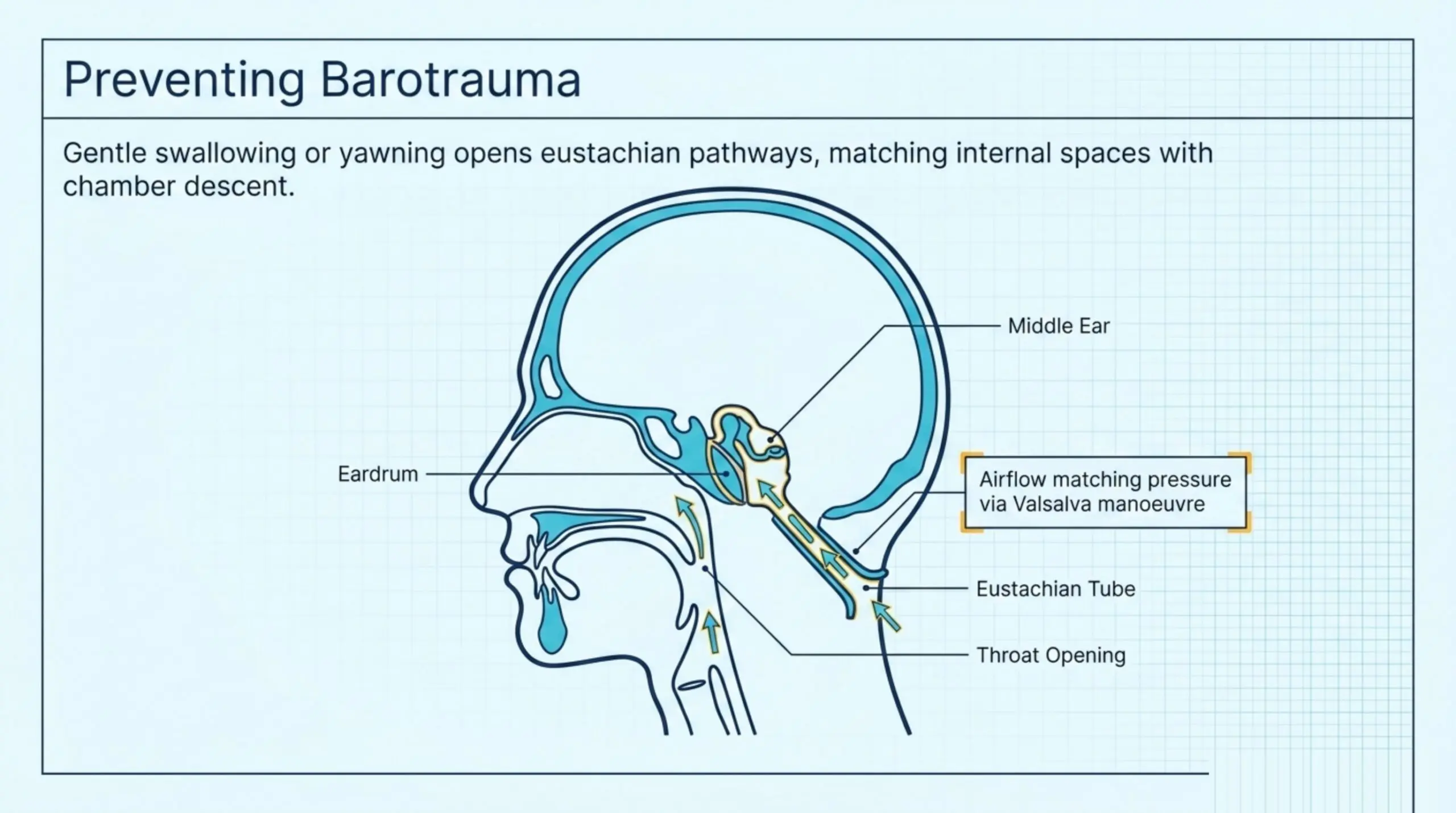 Preparing your ears for chamber pressure: gentle swallowing, yawning, or the Valsalva manoeuvre opens the eustachian tube to equalise middle-ear pressure as the chamber descends, preventing barotrauma.