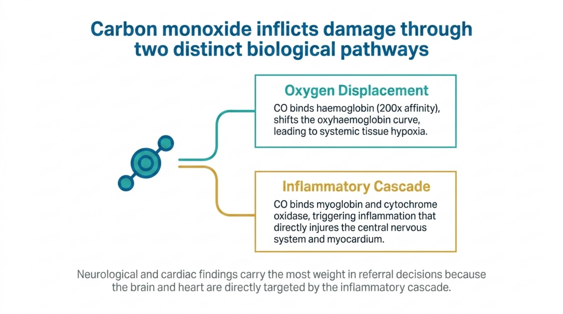 Diagram showing carbon monoxide causes harm through two pathways: oxygen displacement by binding haemoglobin and an inflammatory cascade injuring the brain and heart.