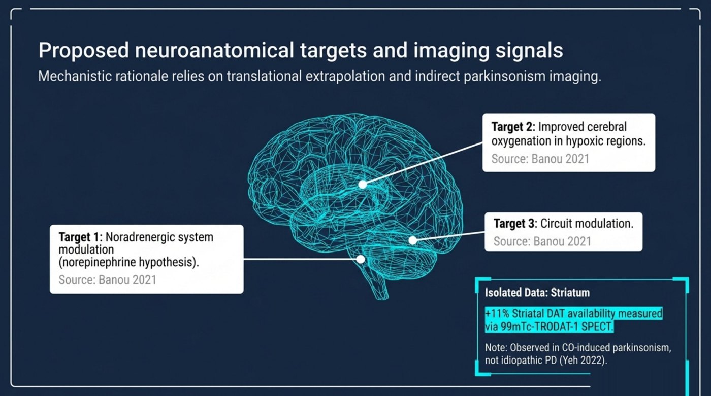 Mechanistic targets of HBOT in Parkinson's disease across noradrenergic system, cerebral oxygenation, and basal ganglia circuits with TRODAT SPECT signal