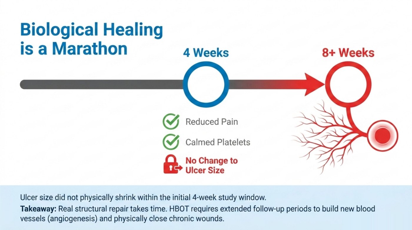Timeline showing HBOT reduced pain and calmed platelets within 4 weeks but ulcer size did not change until extended follow-up allowed new blood vessel growth