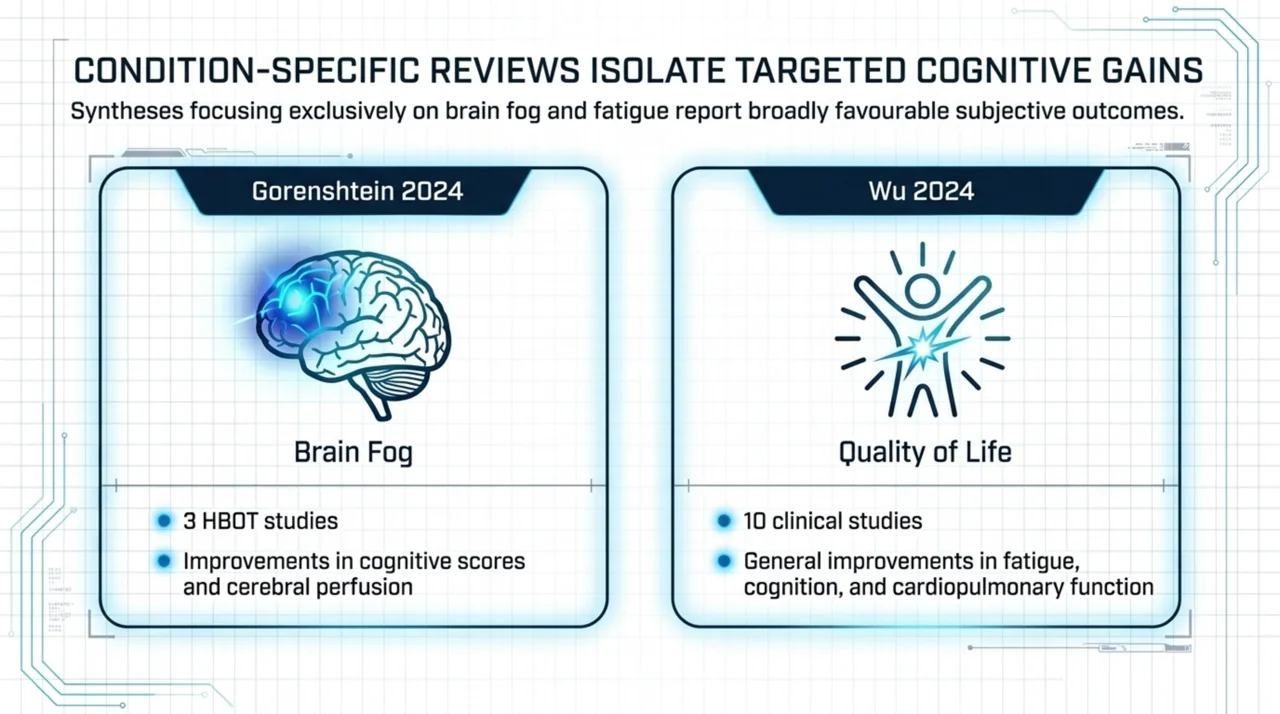 Two condition-specific reviews: Gorenshtein 2024 identified three HBOT brain-fog studies and Wu 2024 reviewed ten studies, both reporting favourable subjective outcomes