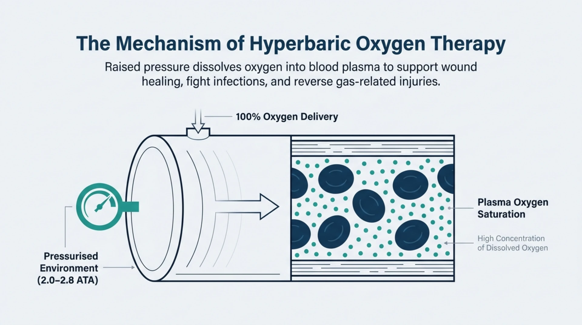 Diagram of how hyperbaric oxygen therapy raises chamber pressure to dissolve extra oxygen into blood plasma