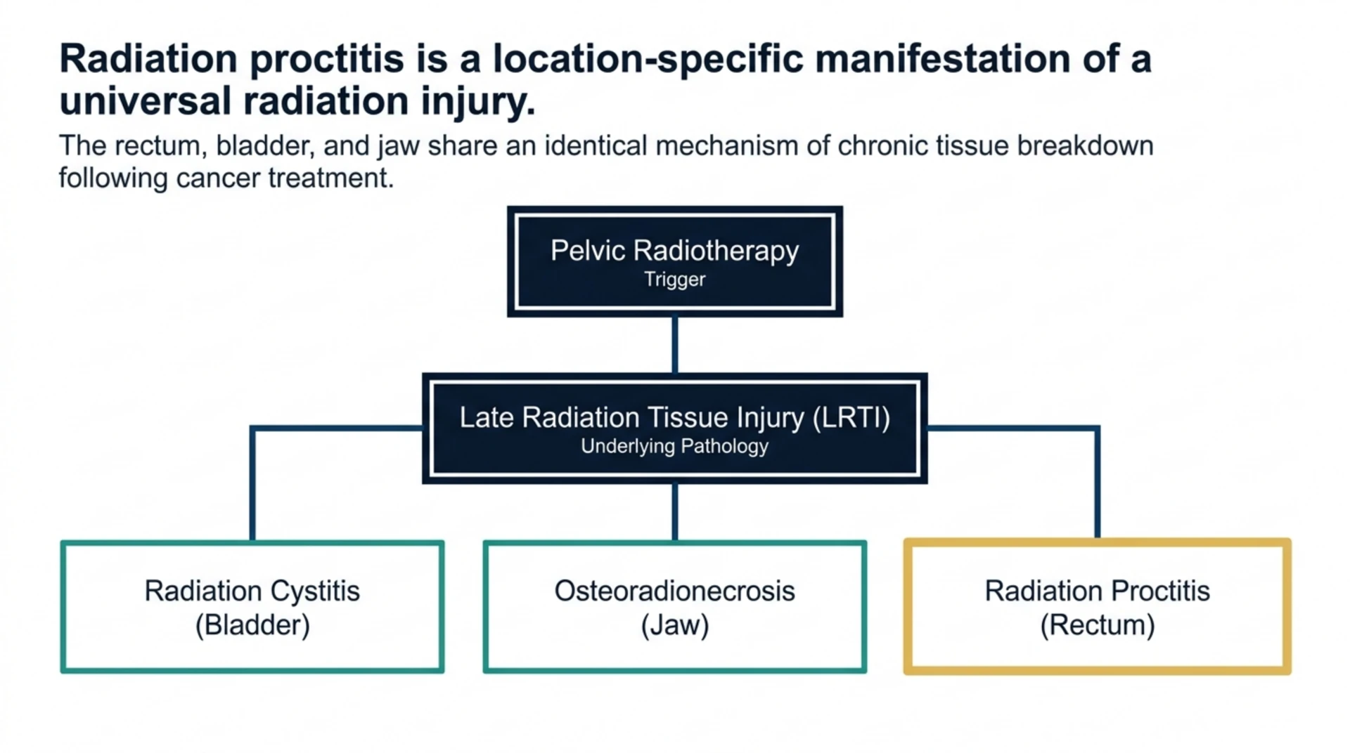 Flow diagram showing pelvic radiotherapy as the trigger for late radiation tissue injury, which can present as radiation cystitis in the bladder, osteoradionecrosis in the jaw, or radiation proctitis in the rectum.