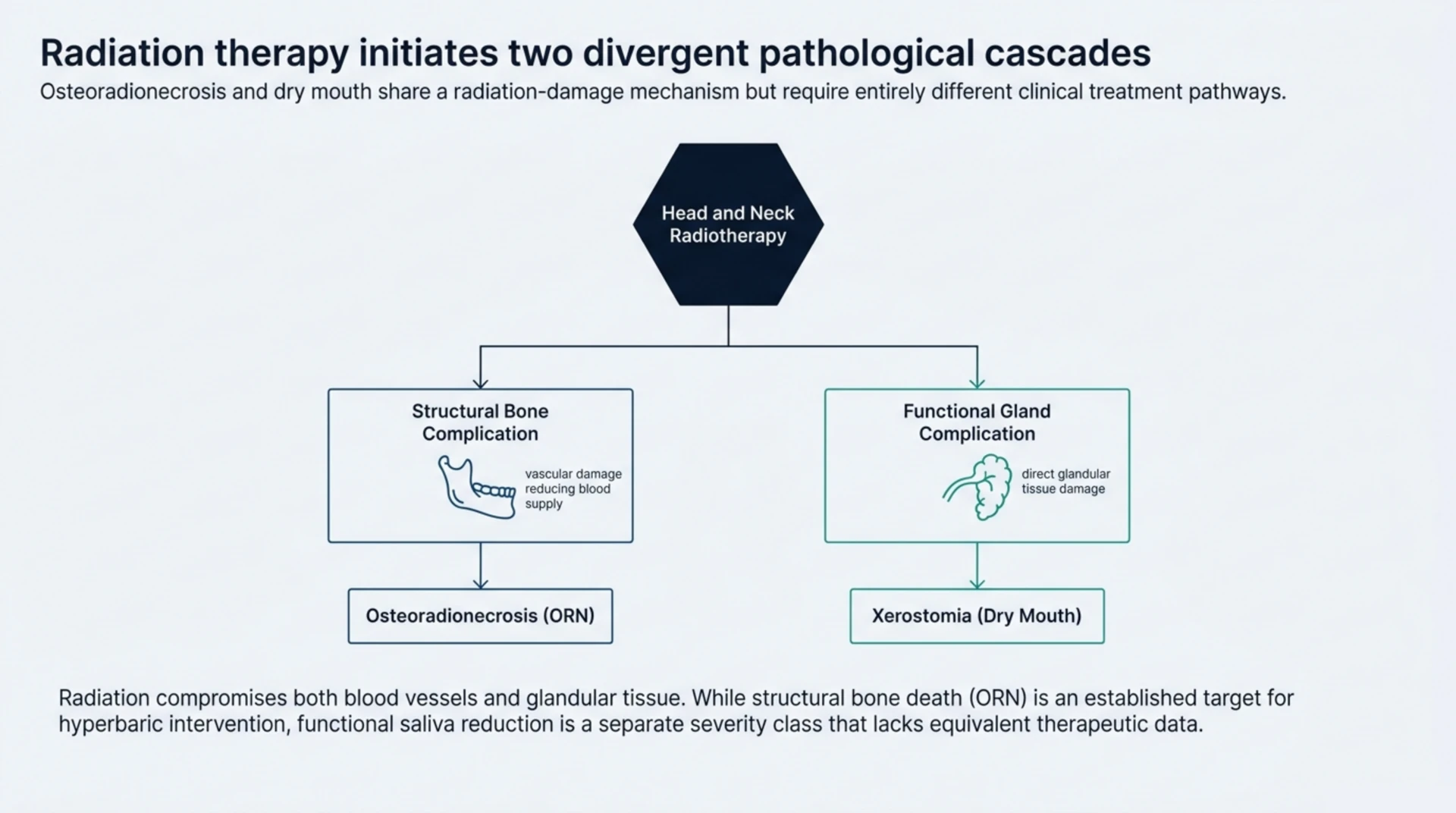 Diagram showing head and neck radiotherapy causing two divergent complications: structural bone injury (osteoradionecrosis) from vascular damage, and functional gland injury (xerostomia) from direct glandular tissue damage.