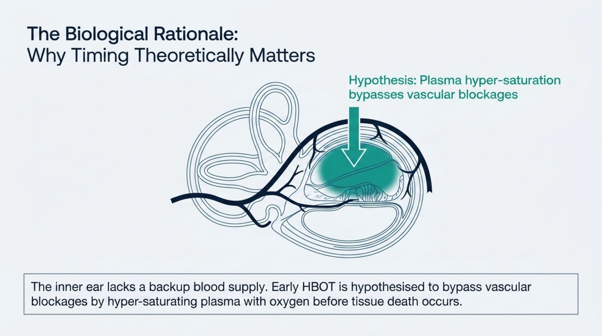 Diagram of the inner ear showing the hypothesised mechanism by which hyperbaric oxygen may support the oxygen-starved cochlea.