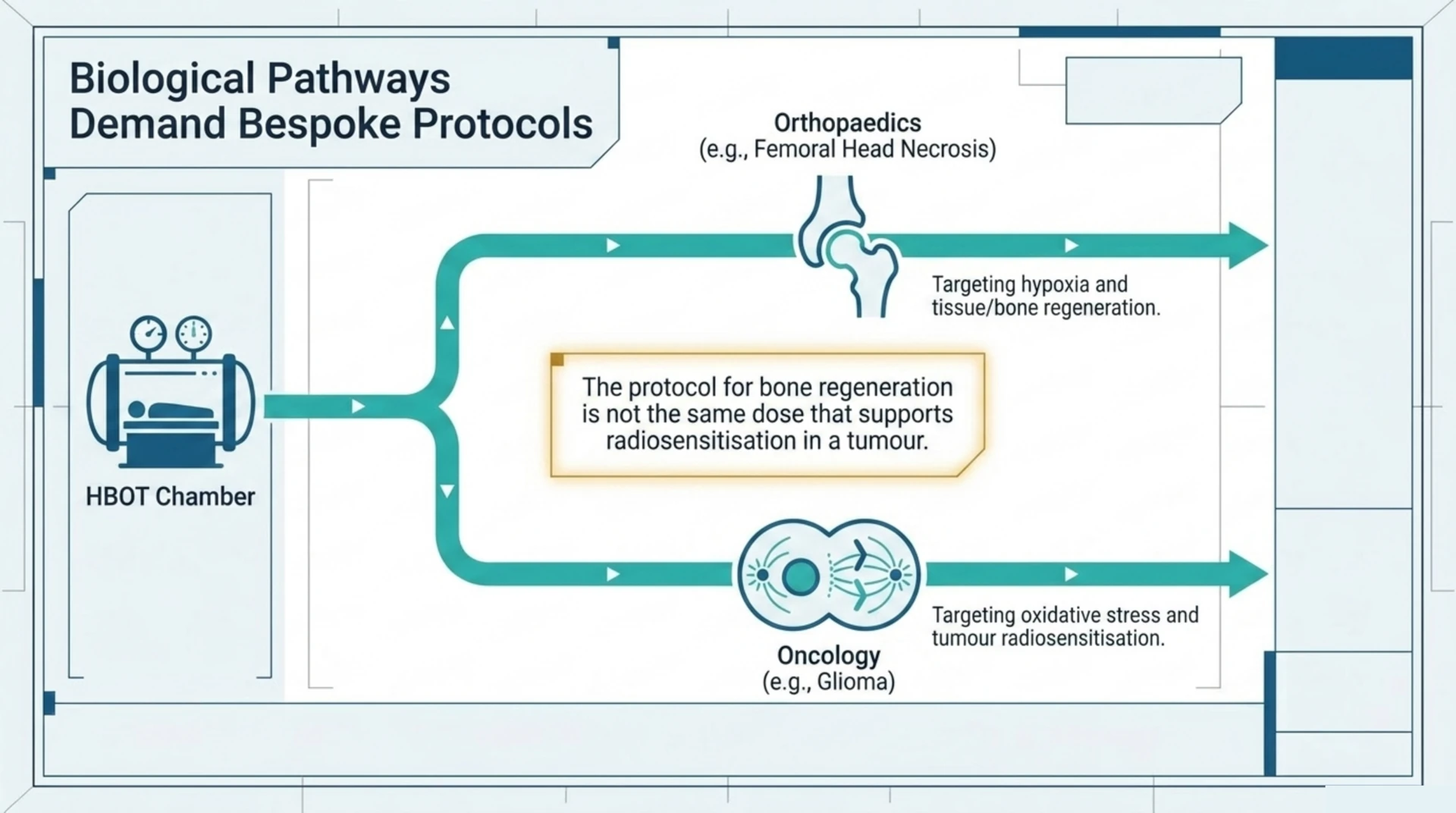 Diagram showing bone regeneration and tumour radiosensitization use different HBOT dose targets despite the same chamber.