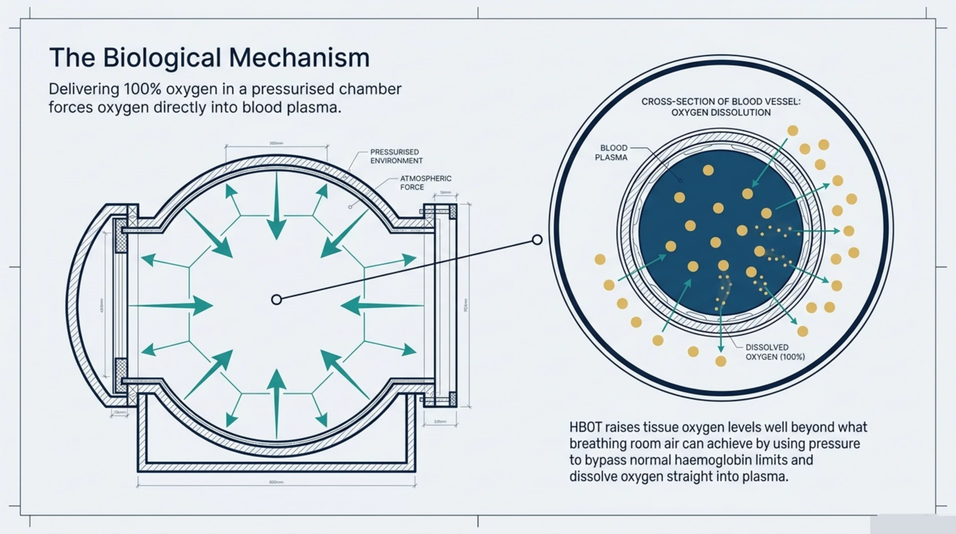 Diagram of how a pressurised 100% oxygen chamber dissolves extra oxygen directly into blood plasma, raising tissue oxygen levels beyond what breathing room air achieves.