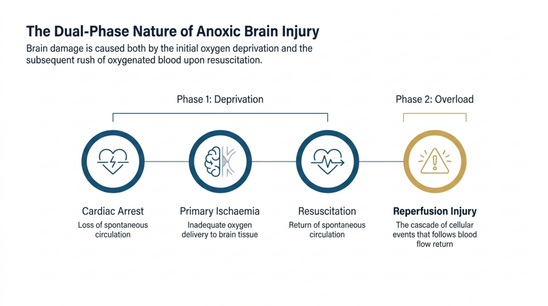 Diagram of the two-phase mechanism of anoxic brain injury after cardiac arrest: primary ischaemia followed by reperfusion injury.