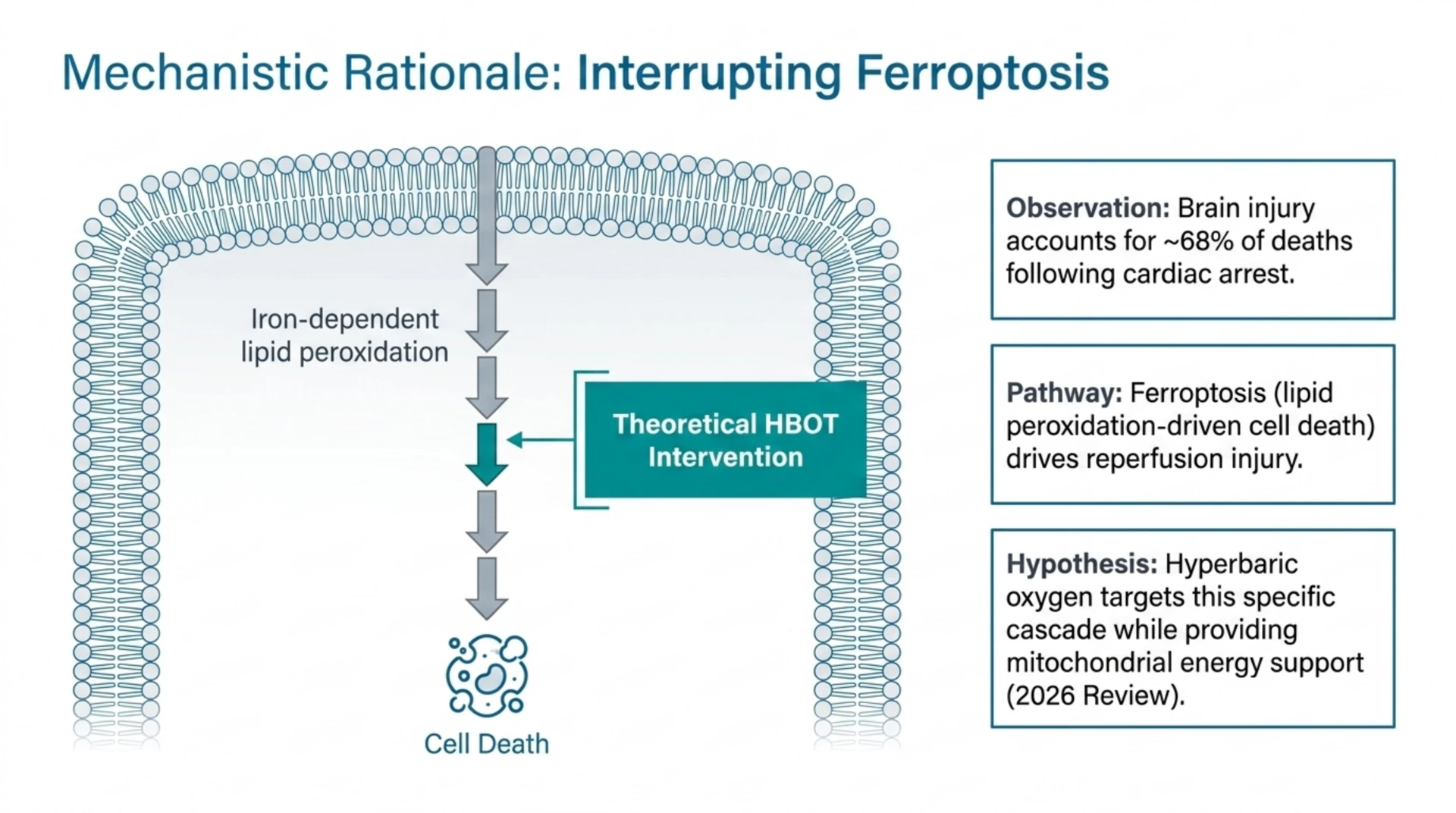 Diagram of the ferroptosis cell-death pathway proposed as a mechanistic target for hyperbaric oxygen after cardiac arrest.