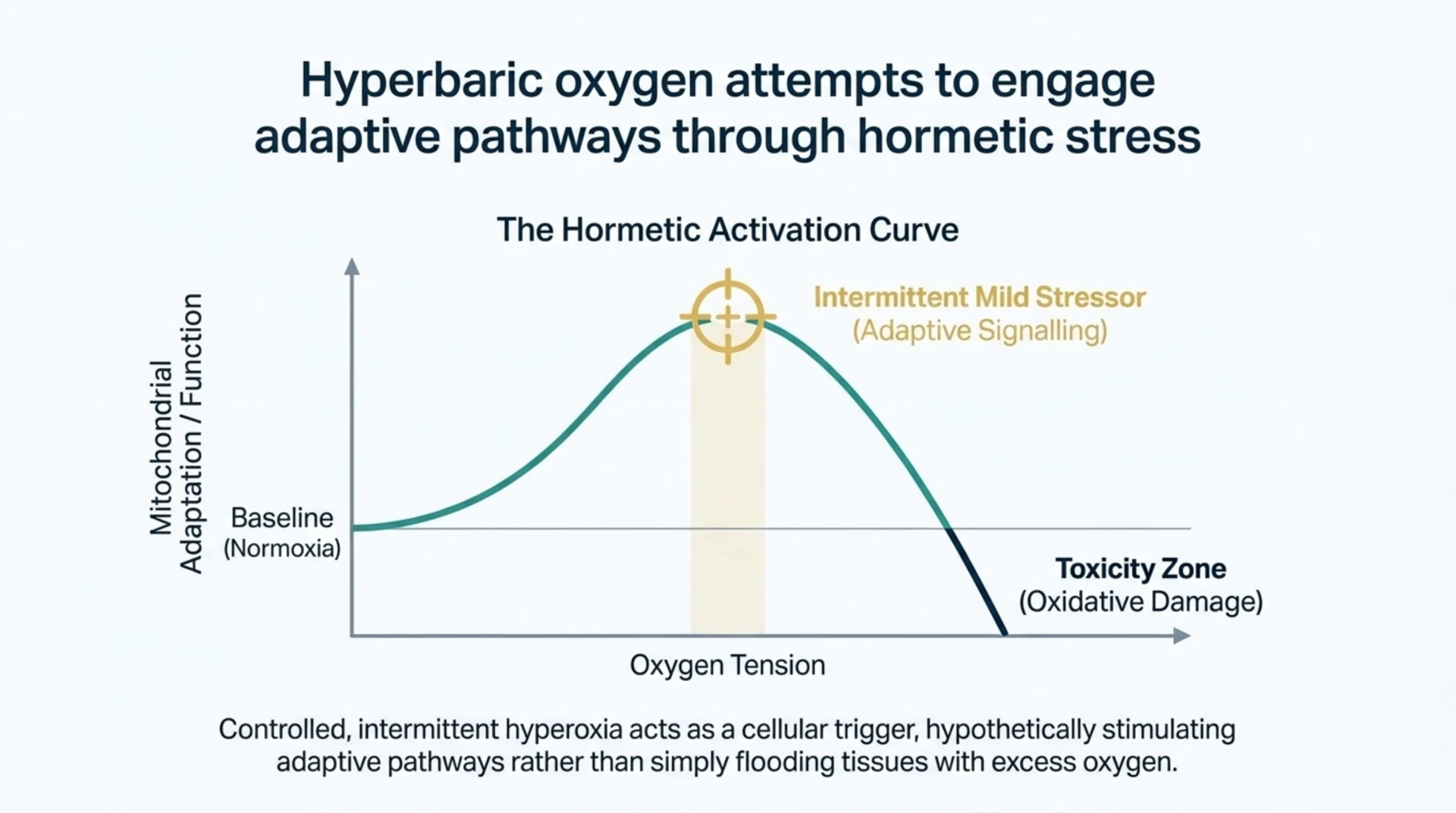 A hormetic activation curve showing mitochondrial adaptation rising with oxygen tension before a toxicity zone, illustrating the hypothesis that intermittent hyperoxia stimulates adaptive signalling rather than simply flooding tissue with oxygen.