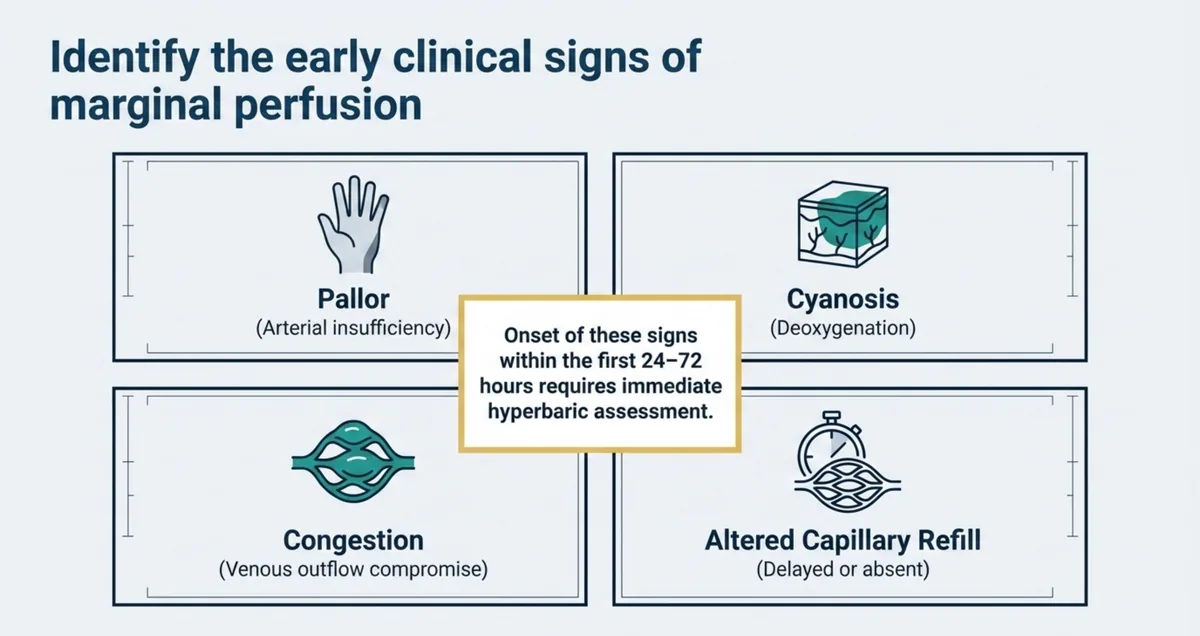 Four-quadrant diagram of the early clinical signs of marginal perfusion in a graft or flap: pallor indicating arterial insufficiency, cyanosis indicating deoxygenation, congestion indicating venous outflow compromise, and altered capillary refill that is delayed or absent, with a central note that onset of these signs within the first 24 to 72 hours requires immediate hyperbaric assessment.