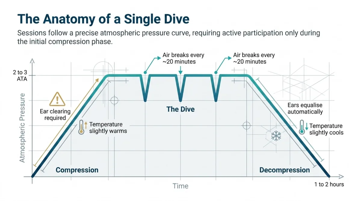 Pressure-versus-time curve of a single hyperbaric session showing compression with ear clearing, a treatment plateau of about two to three atmospheres with air breaks roughly every twenty minutes over one to two hours, and a gradual decompression where the ears equalise on their own.
